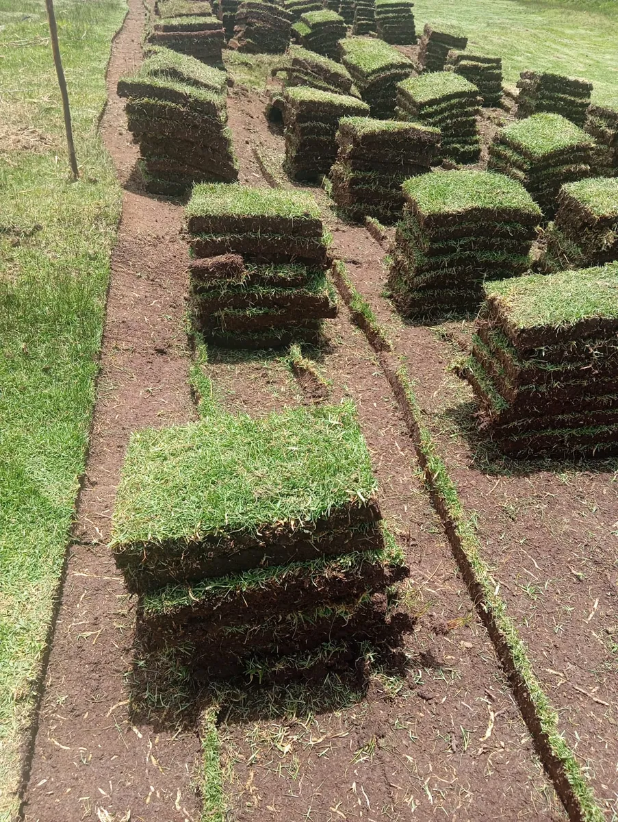 Jardinero en Cusco