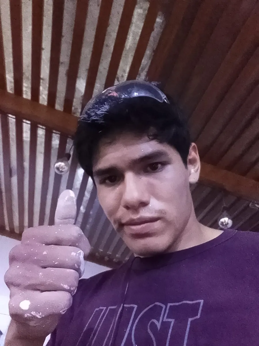 Carlos Paint Stone